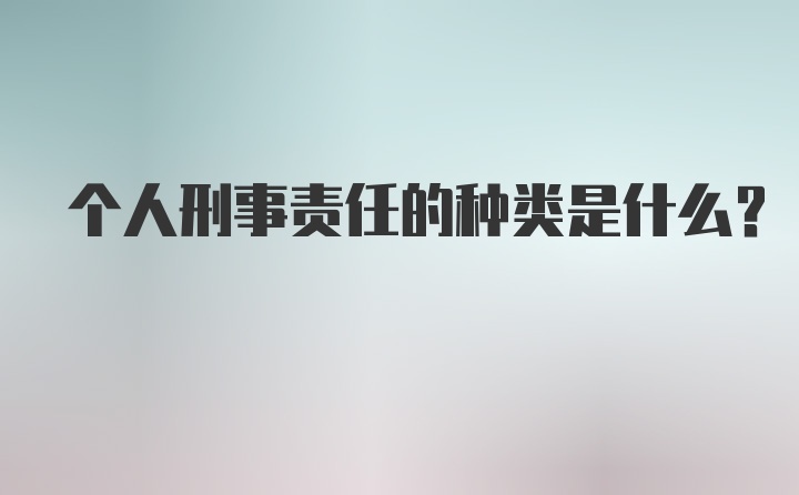 个人刑事责任的种类是什么?