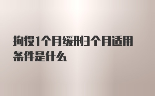 拘役1个月缓刑3个月适用条件是什么