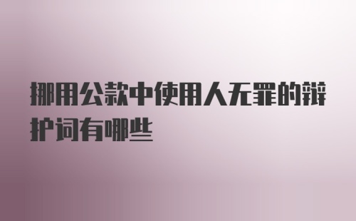 挪用公款中使用人无罪的辩护词有哪些