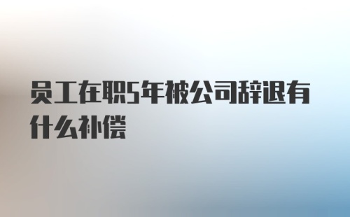 员工在职5年被公司辞退有什么补偿