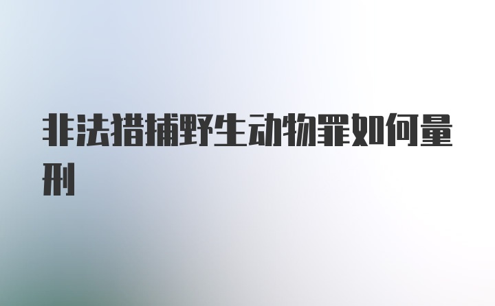 非法猎捕野生动物罪如何量刑