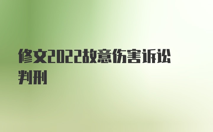 修文2022故意伤害诉讼判刑