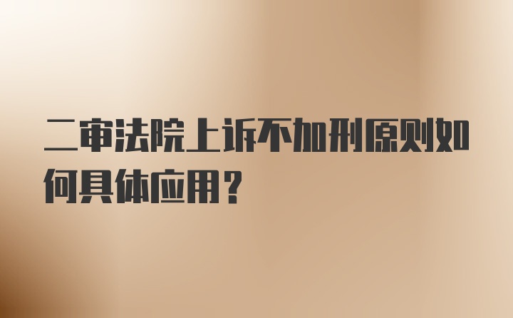 二审法院上诉不加刑原则如何具体应用？