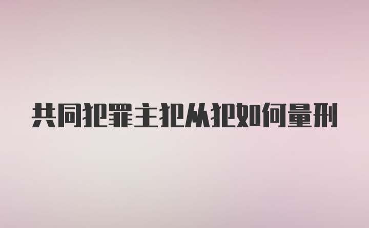 共同犯罪主犯从犯如何量刑