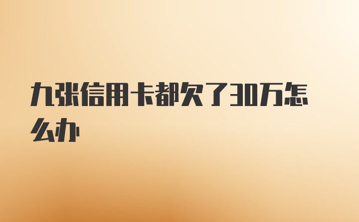 九张信用卡都欠了30万怎么办