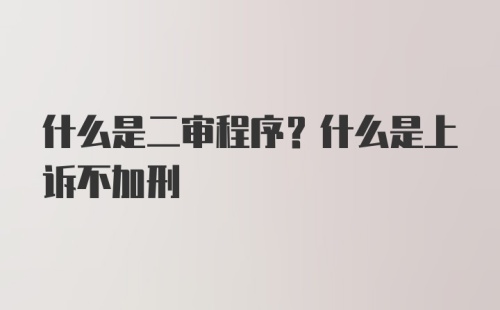 什么是二审程序？什么是上诉不加刑