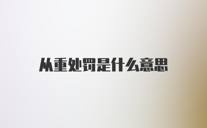 从重处罚是什么意思