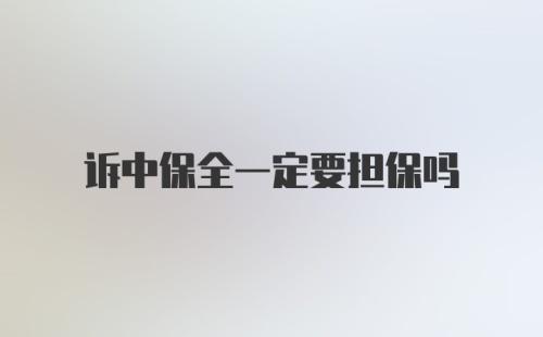 诉中保全一定要担保吗