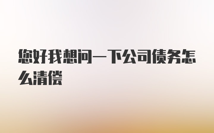 您好我想问一下公司债务怎么清偿