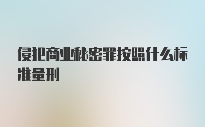 侵犯商业秘密罪按照什么标准量刑