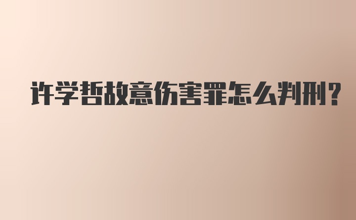 许学哲故意伤害罪怎么判刑？