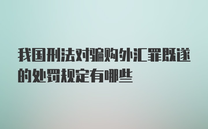 我国刑法对骗购外汇罪既遂的处罚规定有哪些