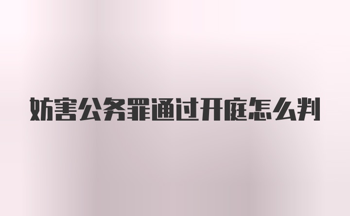 妨害公务罪通过开庭怎么判