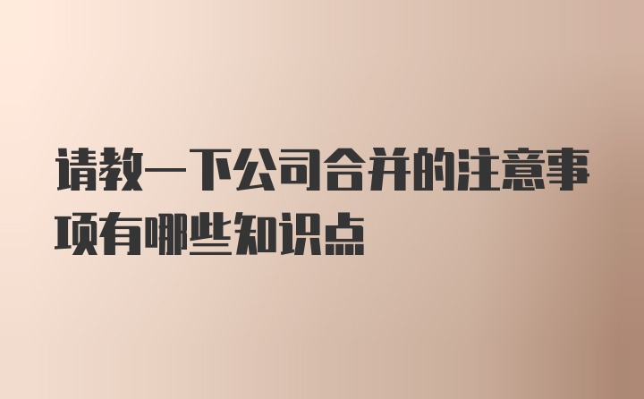 请教一下公司合并的注意事项有哪些知识点