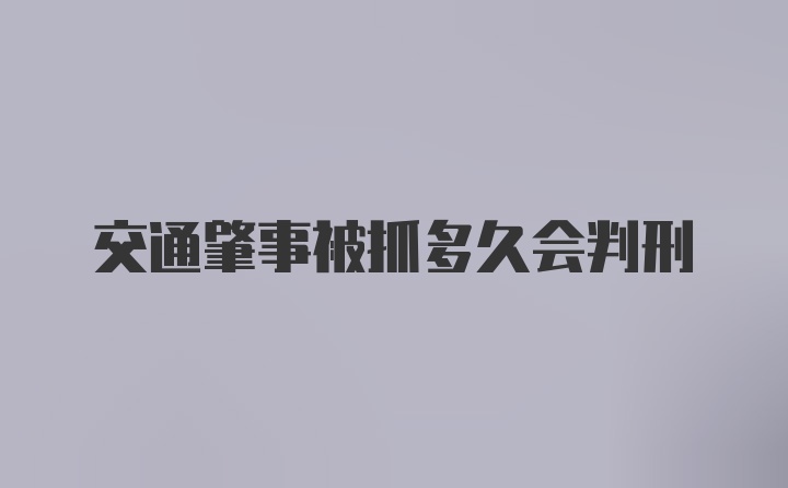 交通肇事被抓多久会判刑