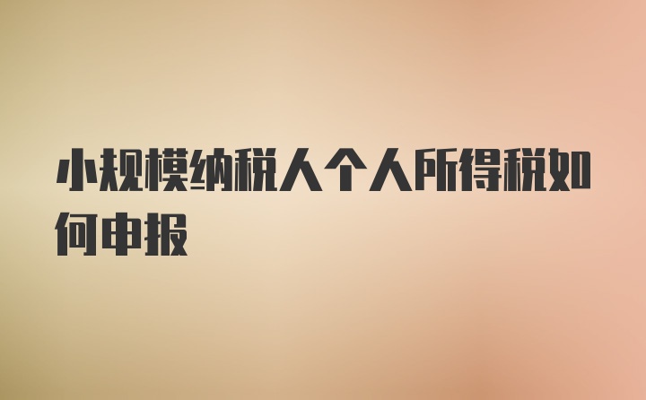 小规模纳税人个人所得税如何申报