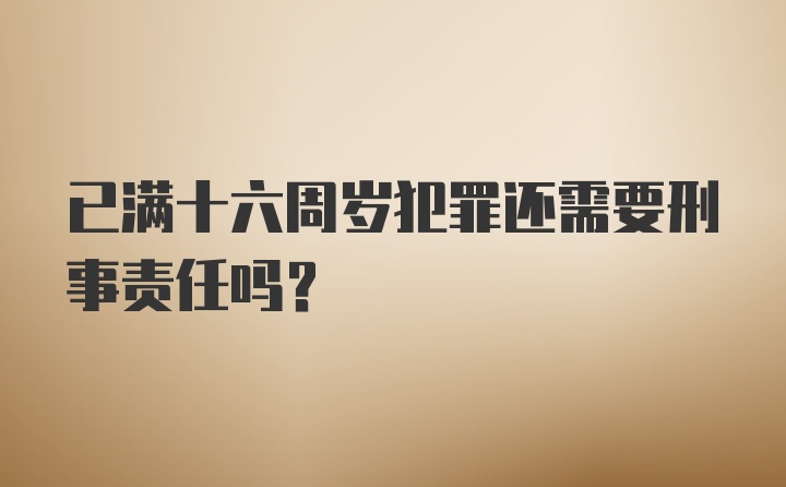 已满十六周岁犯罪还需要刑事责任吗?