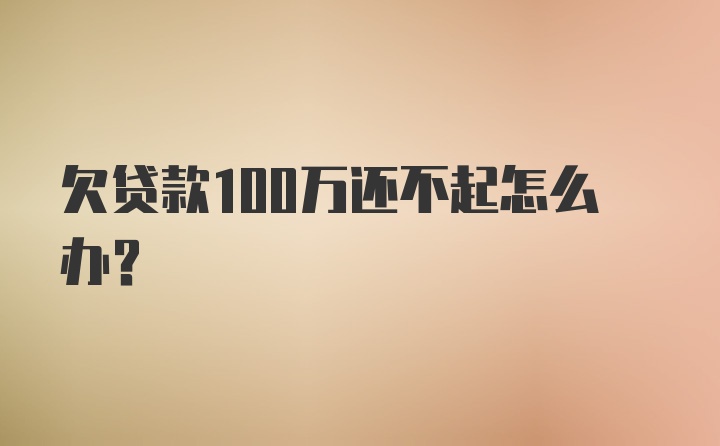 欠贷款100万还不起怎么办？