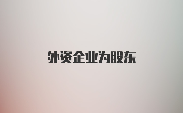 外资企业为股东