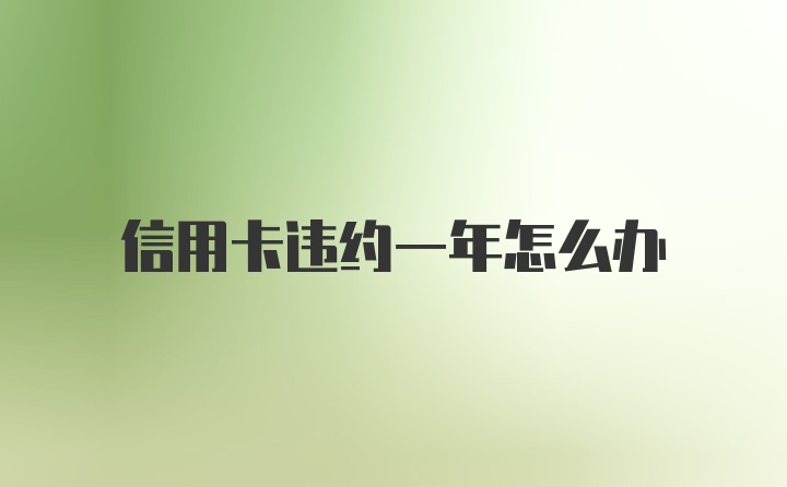 信用卡违约一年怎么办