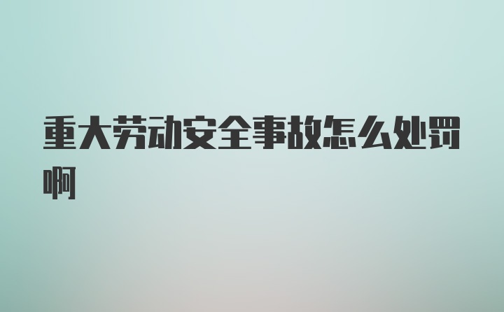 重大劳动安全事故怎么处罚啊