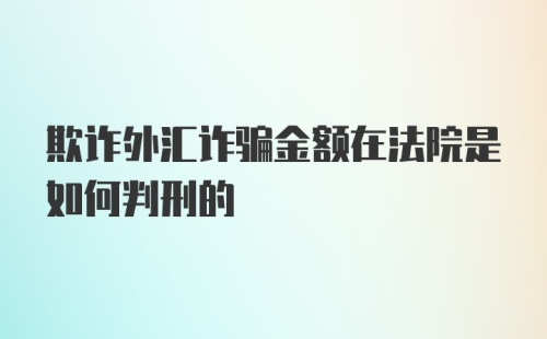 欺诈外汇诈骗金额在法院是如何判刑的