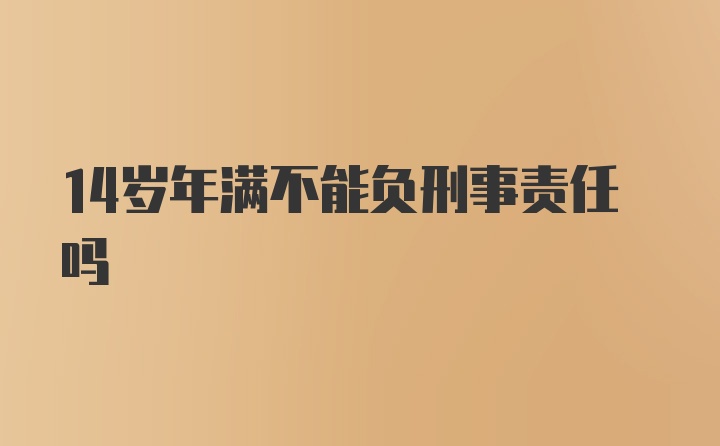 14岁年满不能负刑事责任吗