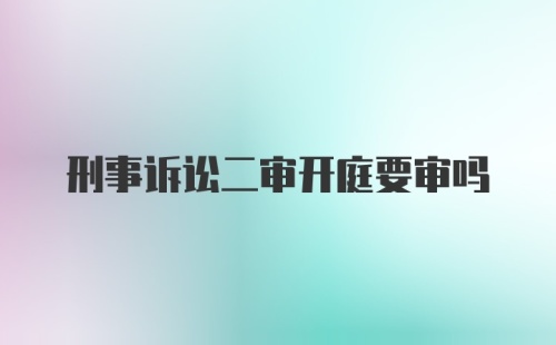 刑事诉讼二审开庭要审吗