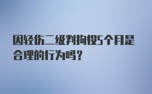 因轻伤二级判拘役5个月是合理的行为吗？