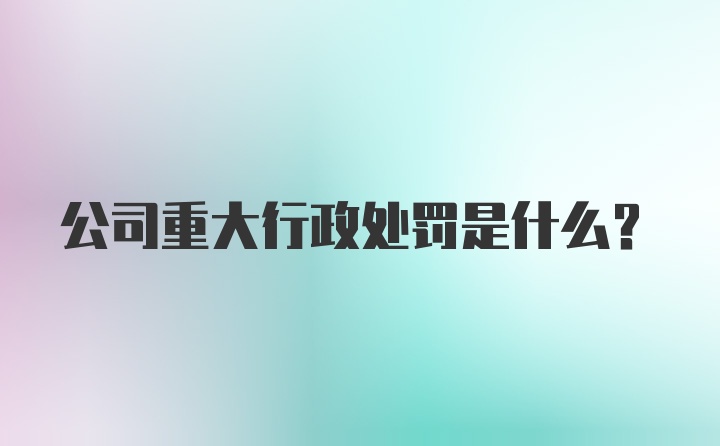 公司重大行政处罚是什么？