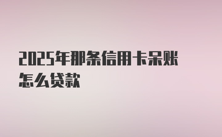 2025年那条信用卡呆账怎么贷款