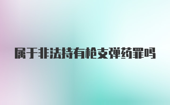 属于非法持有枪支弹药罪吗