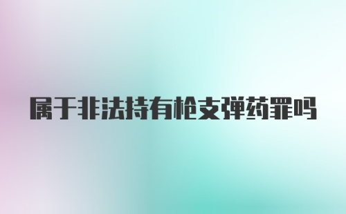 属于非法持有枪支弹药罪吗