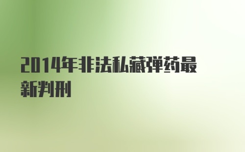 2014年非法私藏弹药最新判刑