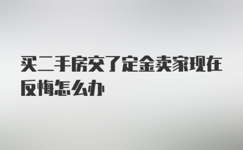 买二手房交了定金卖家现在反悔怎么办