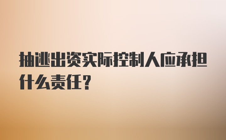 抽逃出资实际控制人应承担什么责任？