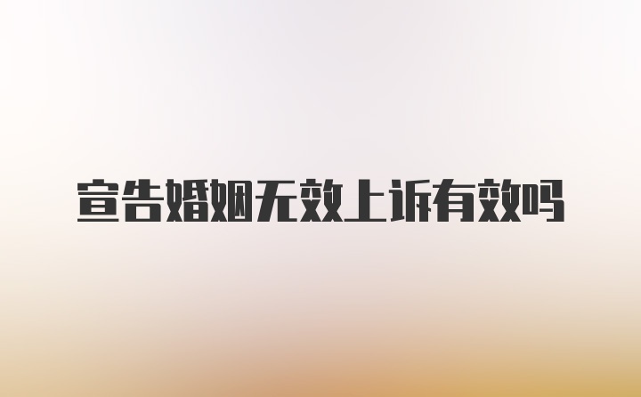 宣告婚姻无效上诉有效吗