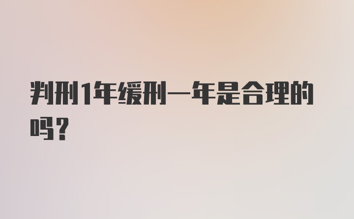 判刑1年缓刑一年是合理的吗?