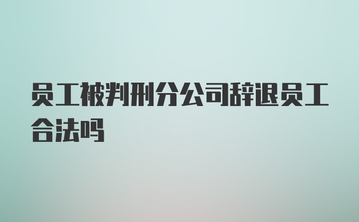 员工被判刑分公司辞退员工合法吗