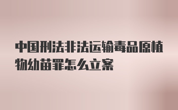 中国刑法非法运输毒品原植物幼苗罪怎么立案