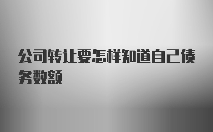 公司转让要怎样知道自己债务数额