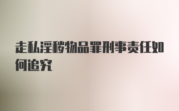 走私淫秽物品罪刑事责任如何追究