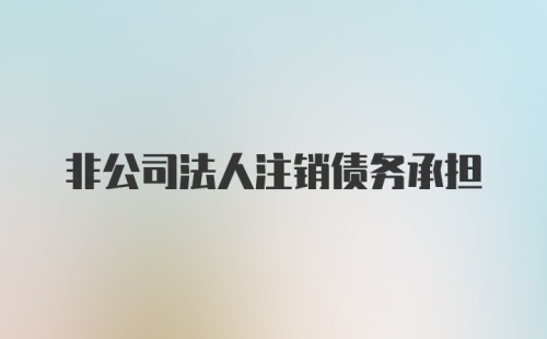 非公司法人注销债务承担