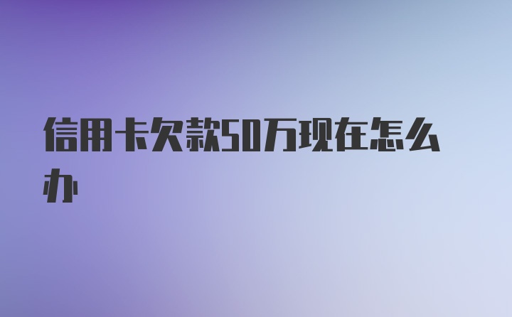 信用卡欠款50万现在怎么办