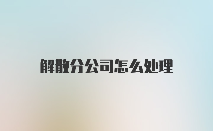 解散分公司怎么处理