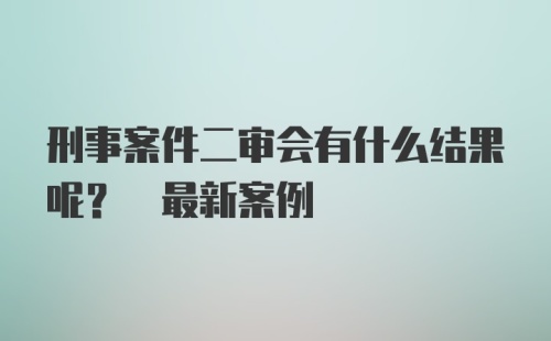 刑事案件二审会有什么结果呢? 最新案例