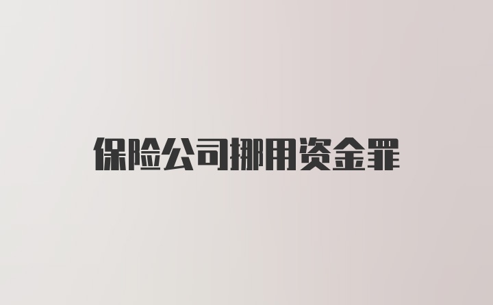 保险公司挪用资金罪