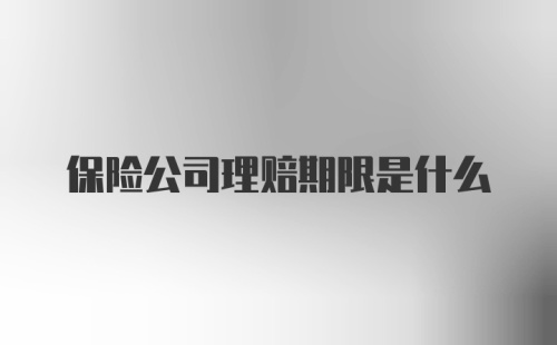 保险公司理赔期限是什么