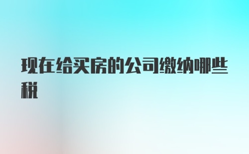 现在给买房的公司缴纳哪些税