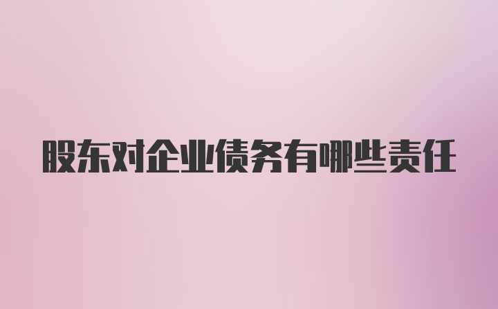 股东对企业债务有哪些责任